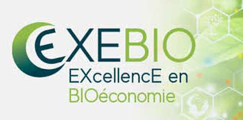 Logo cliquable d'exebio qui renvoie vers son site web